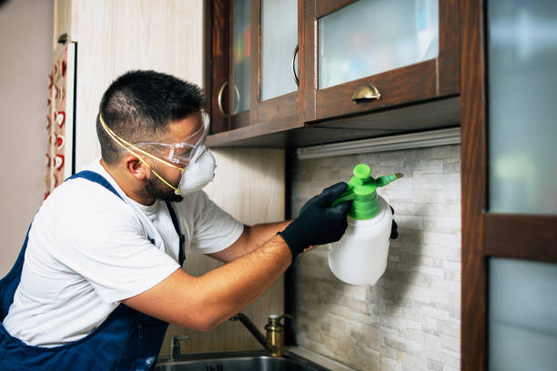 Best Pest Prevention Services  in Harmony Grove, CA